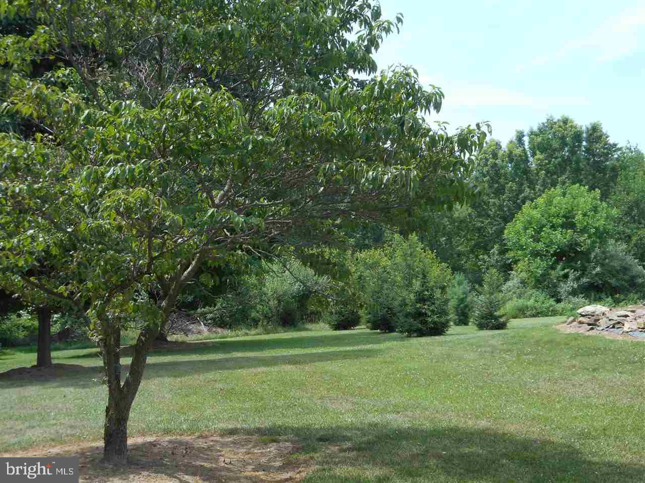 78 Deer Road Fawn Grove, PA 17321 - Photo 9 of 9 Gallery Image 9