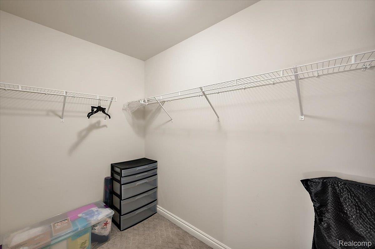 2877 Hartwick Drive Rochester, MI 48307 - Photo 32 of 44 Walk in closet featuring light carpet