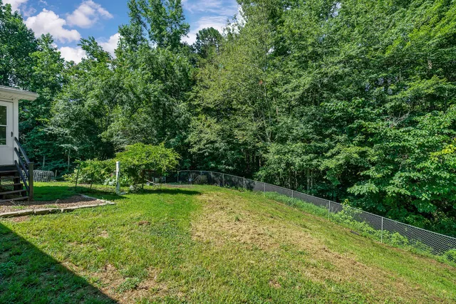 a view of a trees with a yard
