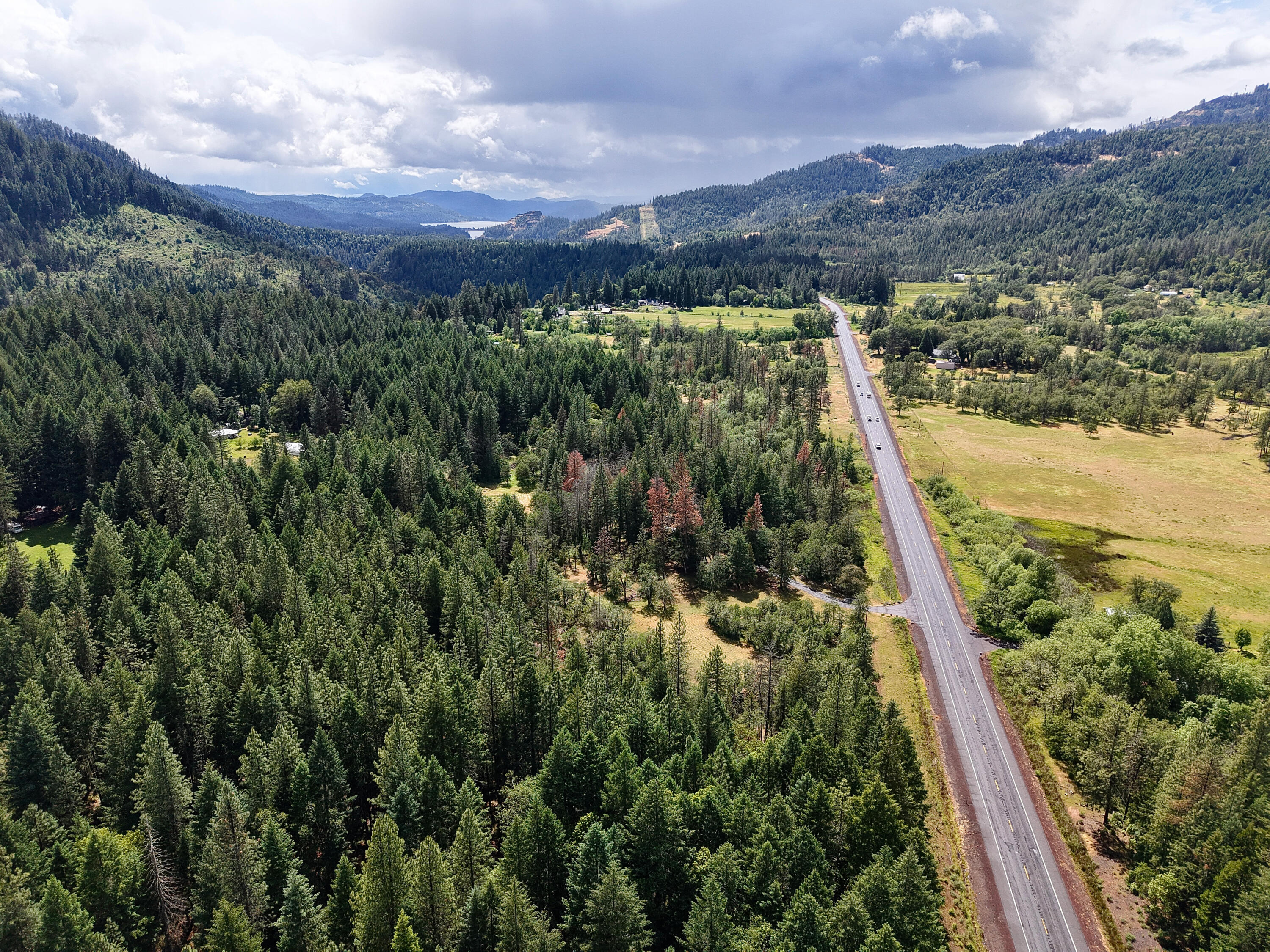 42256 Highway 62 Prospect, OR 97536 - Photo 42 of 48 a view of a forest with a lake