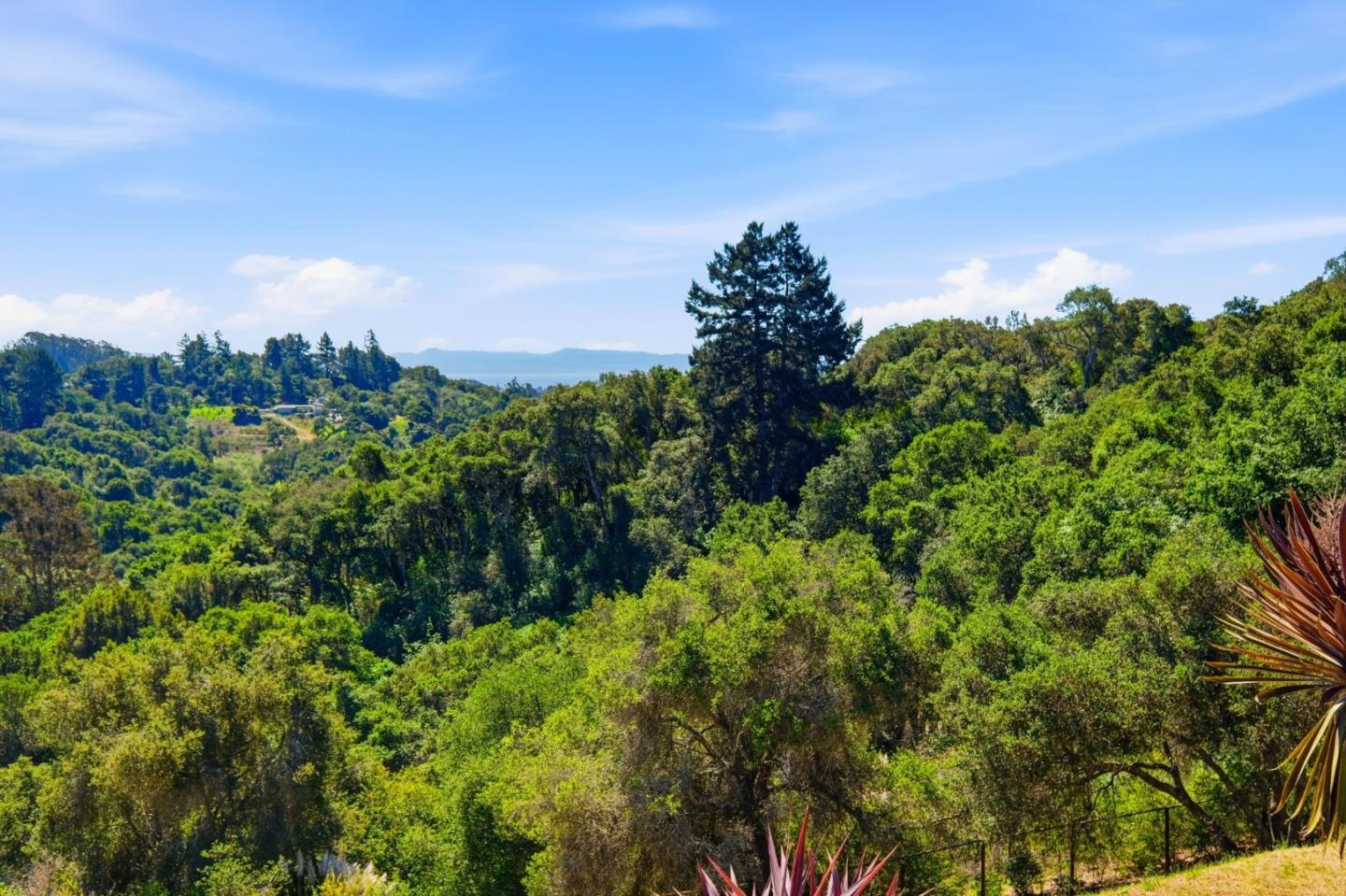 380 Mockingbird Ridge Road Watsonville, CA 95076 - Photo 66 of 67