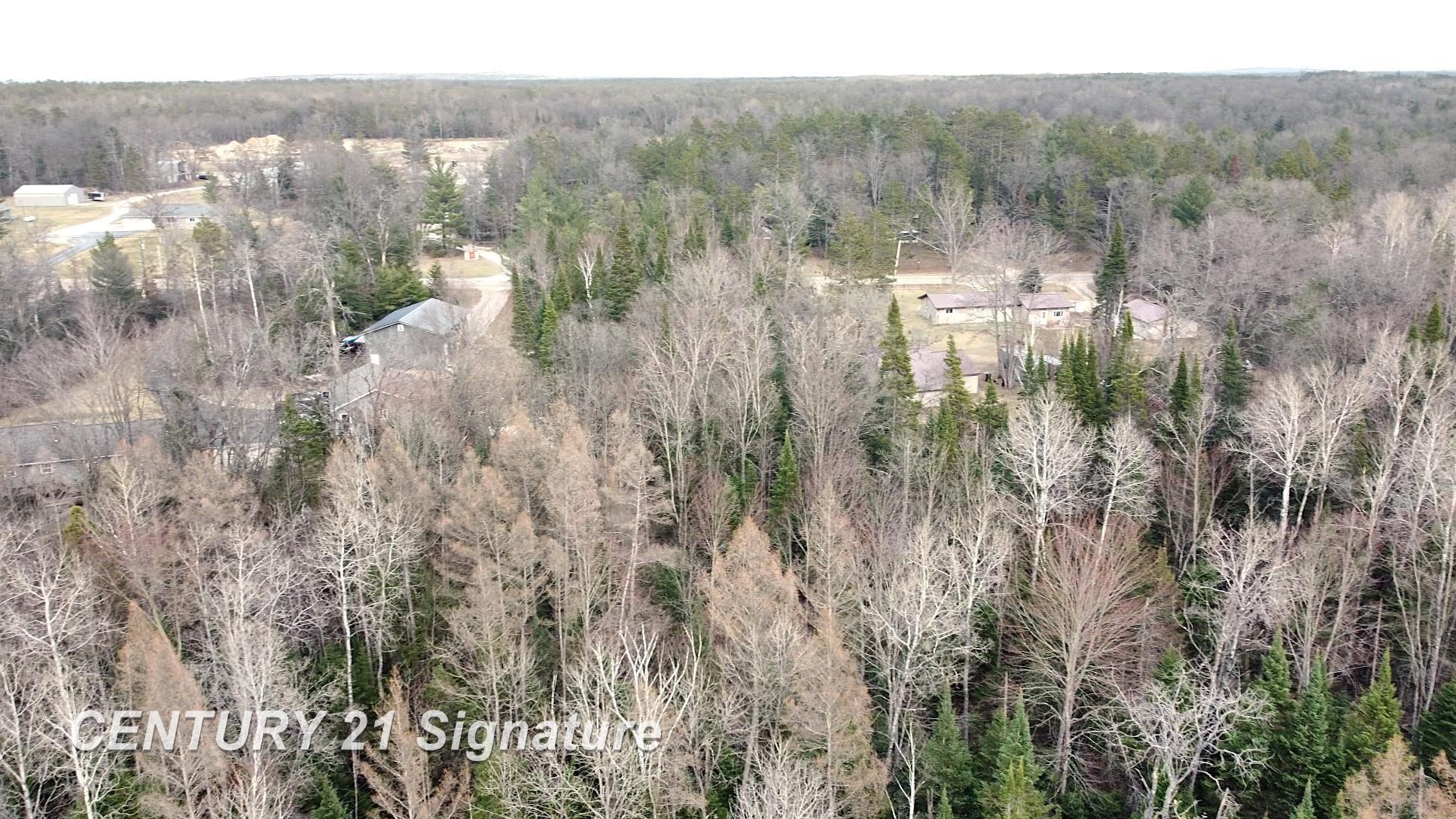 V/l Steckert Bridge Road Roscommon, MI 48653 - Photo 18 of 23 Gallery Image 18