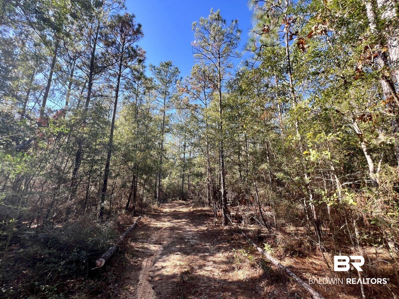 0 C C Road Chunchula, AL 36521 - Photo 12 of 27