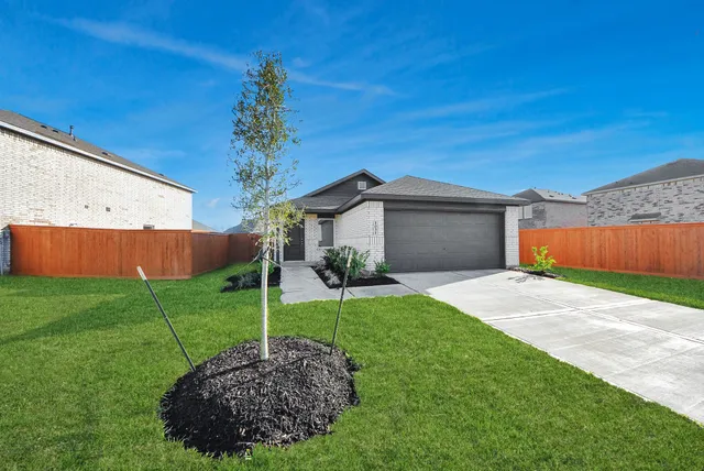 a view of a backyard with potted plants and a large tree