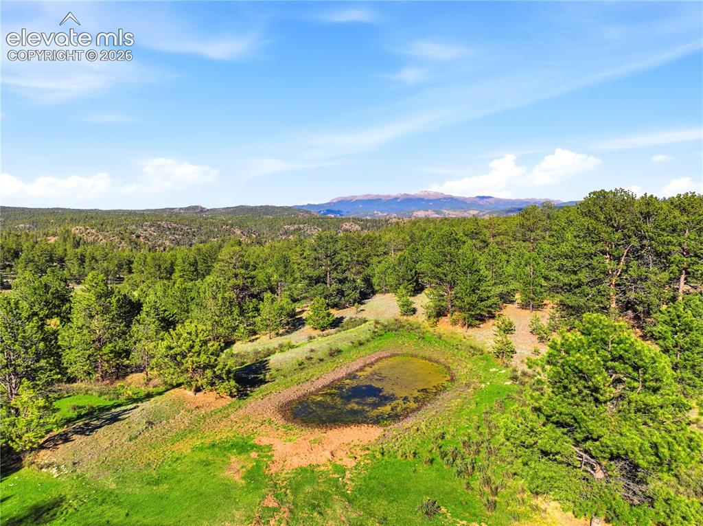 Doe Valley Road Guffey, CO 80820 - Photo 16 of 19 Natural landscape featuring a tranquil pond surrounded by lush greenery and mature trees
