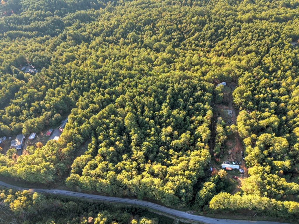 0 Stansbury Mountain Road Copperhill, TN 37317 - Photo 11 of 12