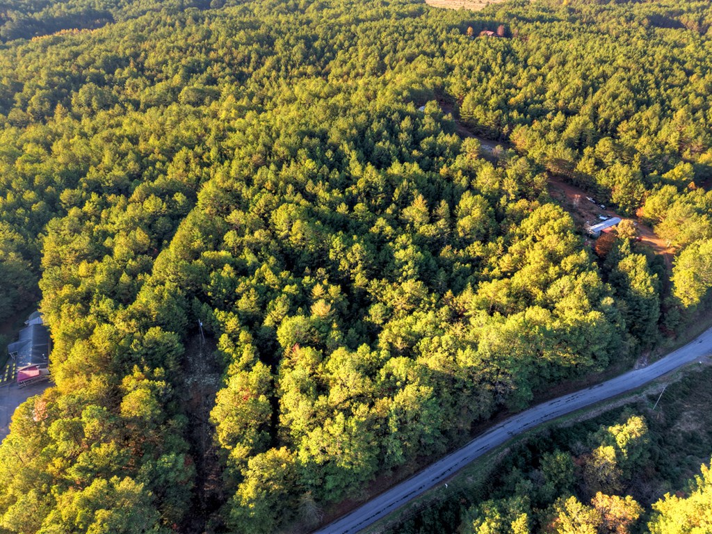 0 Stansbury Mountain Road Copperhill, TN 37317 - Photo 12 of 12