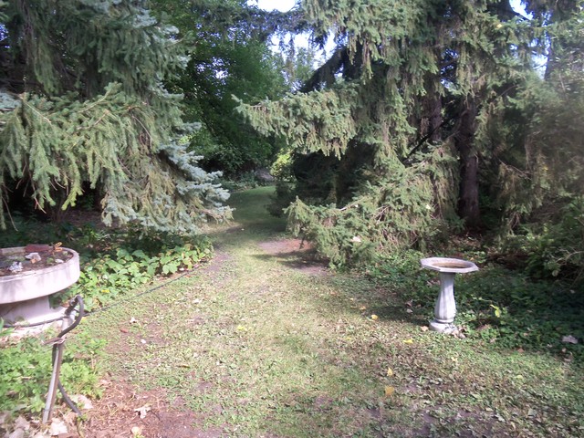 460 Selborne Road Riverside, IL 60546 - Photo 13 of 25 a view of a backyard with fountain plants and large trees