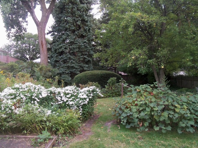 460 Selborne Road Riverside, IL 60546 - Photo 20 of 25 a view of a garden with a tree