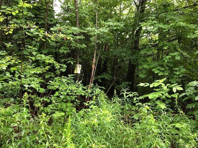 Lt 15-16-2 Lt 15-16-2 Goodwin Road Garland, ME 04939 - Photo 3 of 6 Property lines marking beginning of lot
