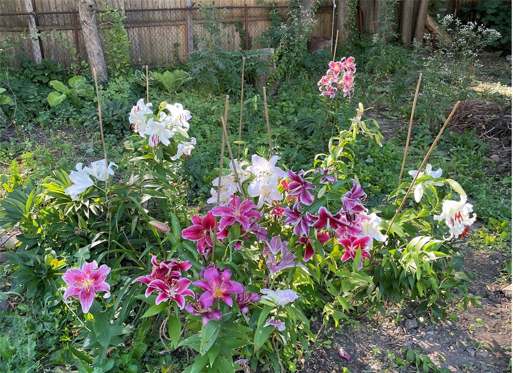 339 Seneca Parkway Rochester, NY 14613 - Photo 45 of 49