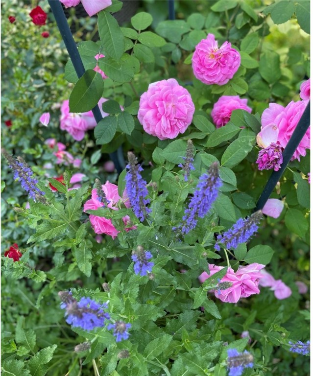 339 Seneca Parkway Rochester, NY 14613 - Photo 46 of 49