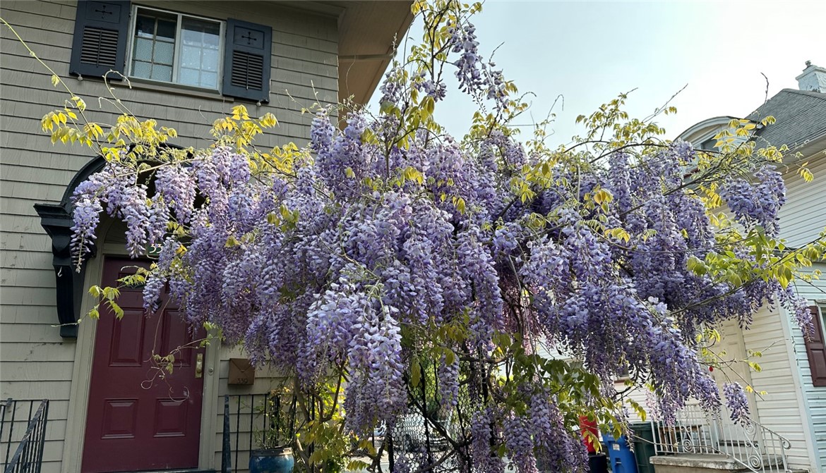 339 Seneca Parkway Rochester, NY 14613 - Photo 47 of 49