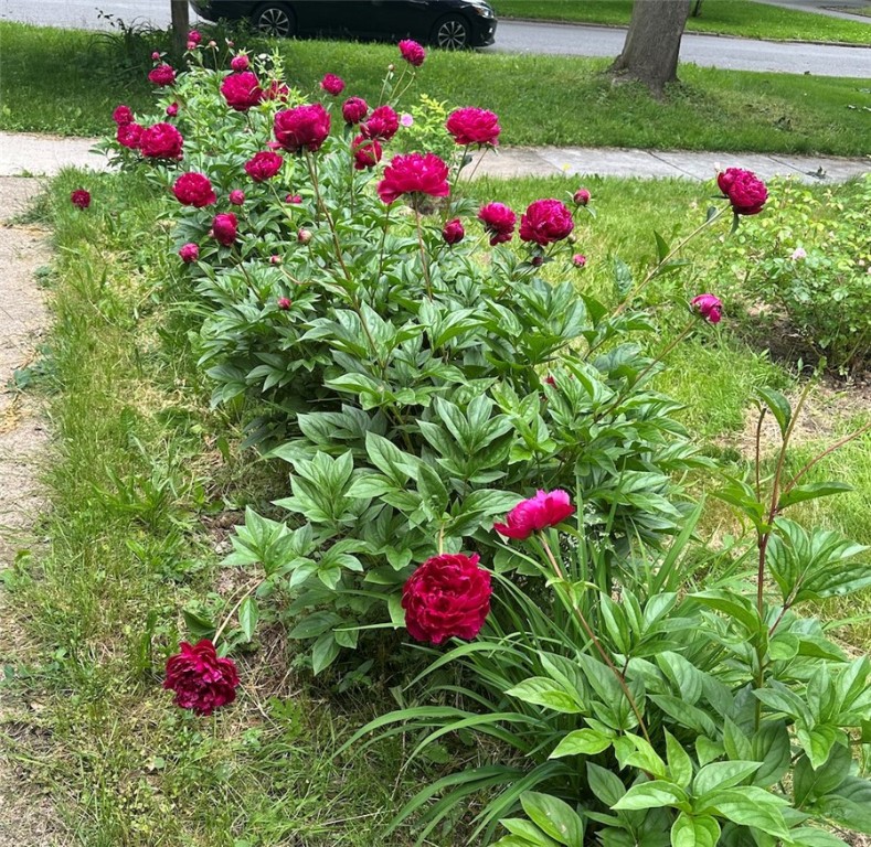 339 Seneca Parkway Rochester, NY 14613 - Photo 48 of 49