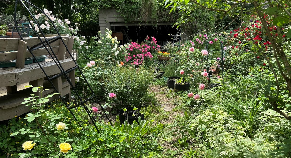 339 Seneca Parkway Rochester, NY 14613 - Photo 49 of 49