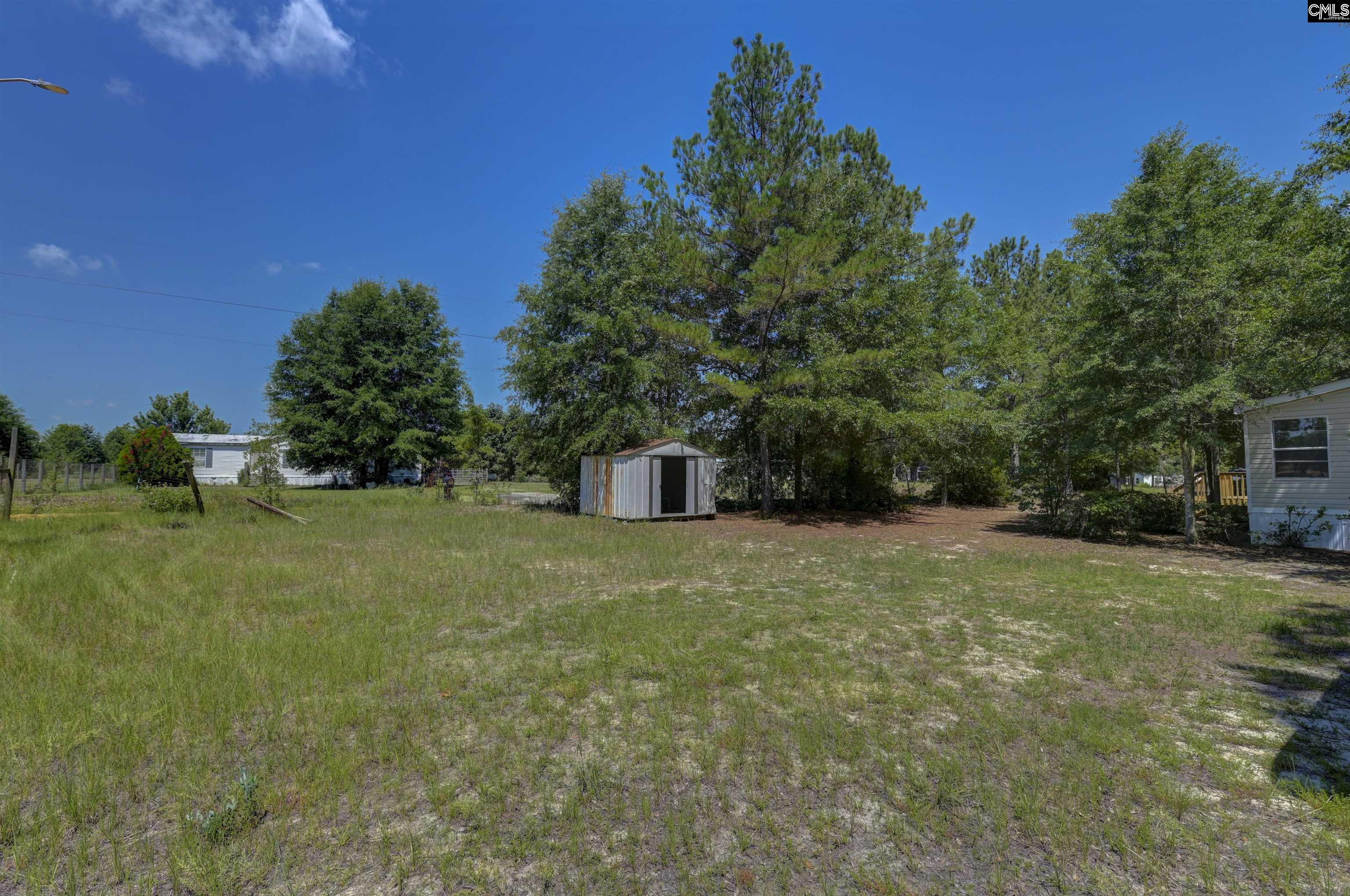416 Otis Road Pelion, SC 29123 - Photo 46 of 48