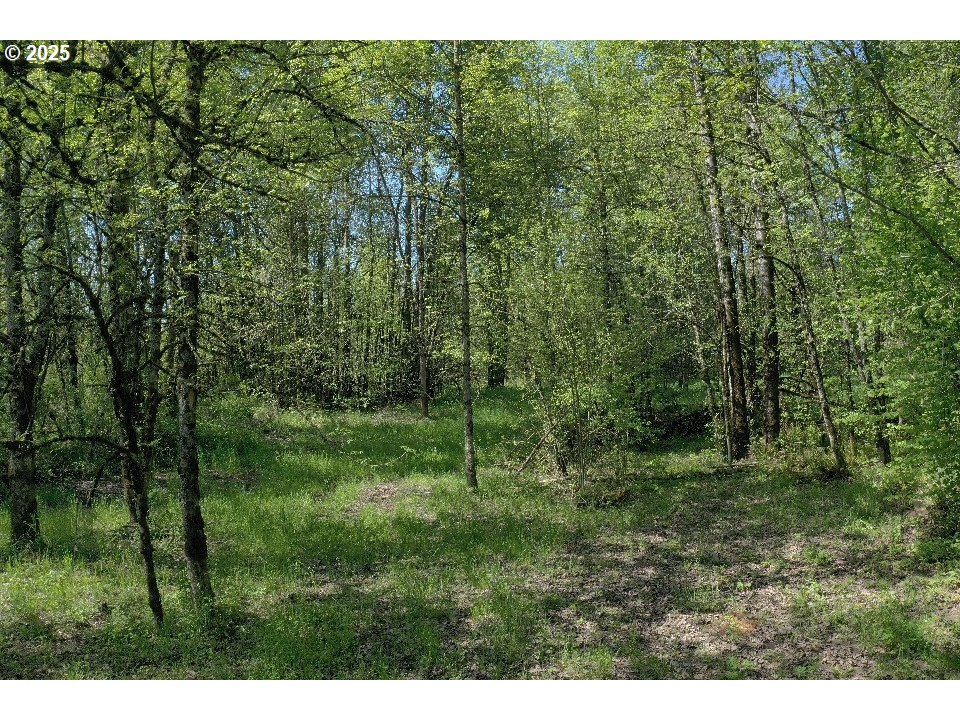 0 West Main Street Battle Ground, WA 98604 - Photo 14 of 14