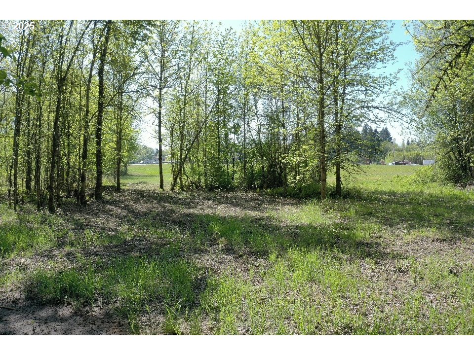 0 West Main Street Battle Ground, WA 98604 - Photo 5 of 14