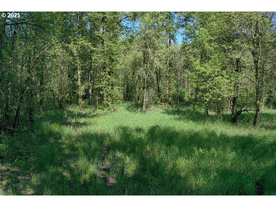 0 West Main Street Battle Ground, WA 98604 - Photo 6 of 14