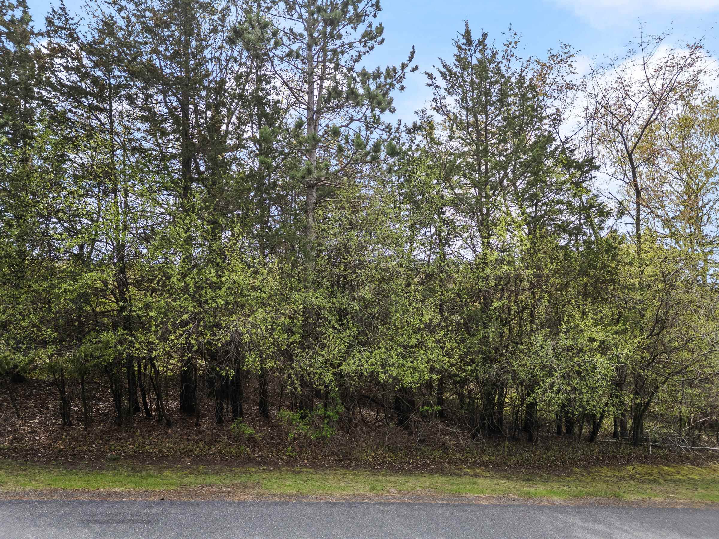 L21 Spring Lake Markesan, WI 53946 - Photo 22 of 29