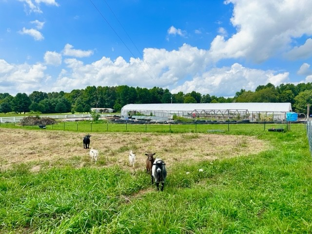 7470 Smith Chapel Road Cookeville, TN 38501 - Photo 38 of 70