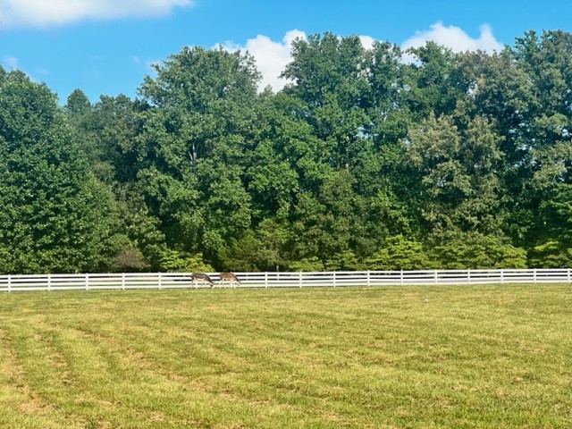 7470 Smith Chapel Road Cookeville, TN 38501 - Photo 44 of 70 a view of a swimming pool with an outdoor space and seating area