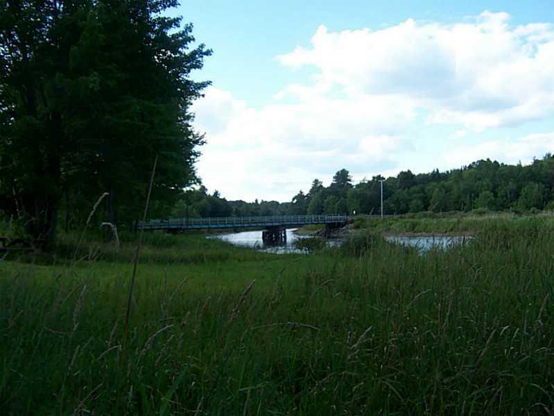 Lot 4-2 South Road Ellsworth, ME 04605 - Photo 8 of 8 Cleared area of site.