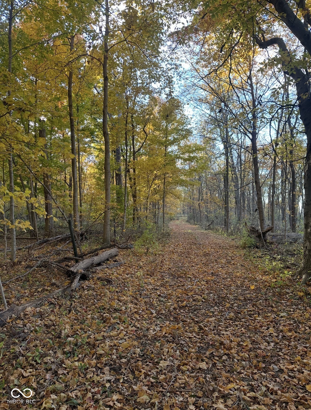 0 Cyntheanne Road Noblesville, IN 46060 - Photo 1 of 4