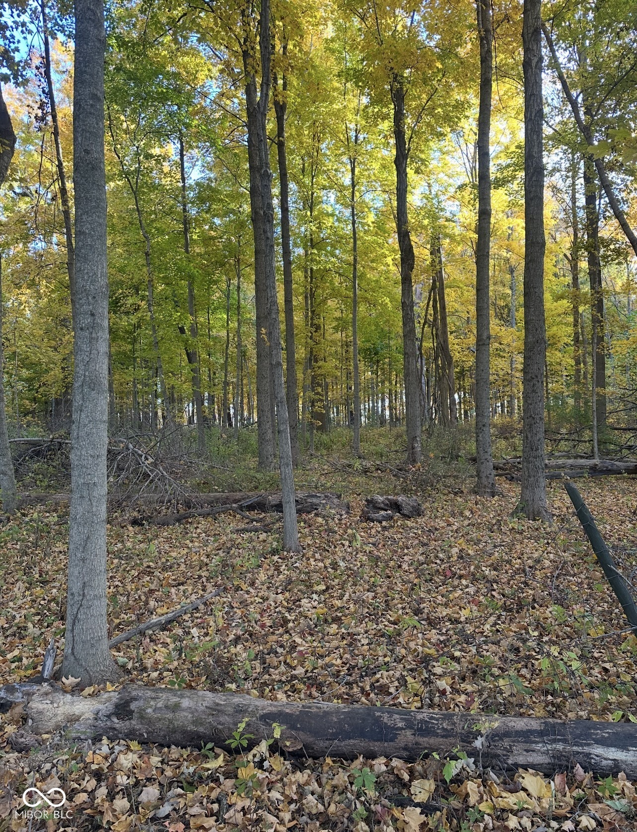 0 Cyntheanne Road Noblesville, IN 46060 - Photo 2 of 4