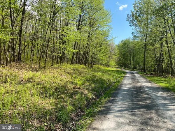 a view of outdoor space and trees