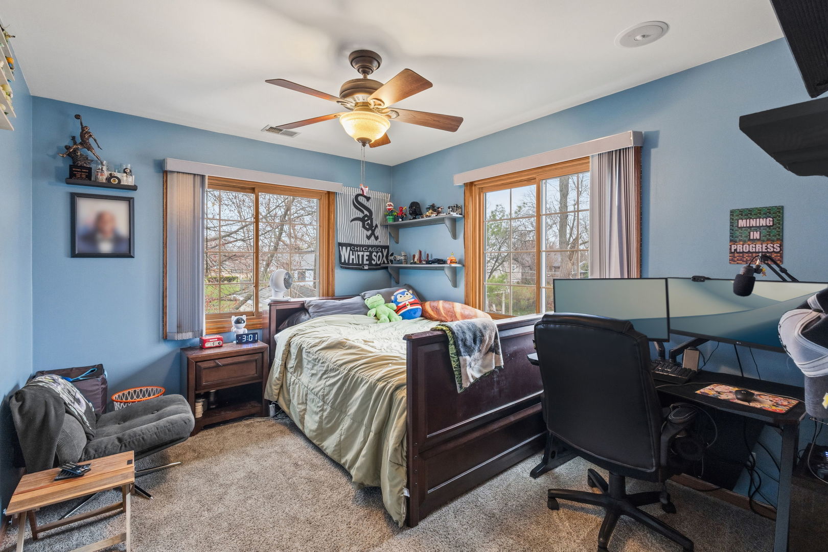 520 Birchwood Road Frankfort, IL 60423 - Photo 11 of 18