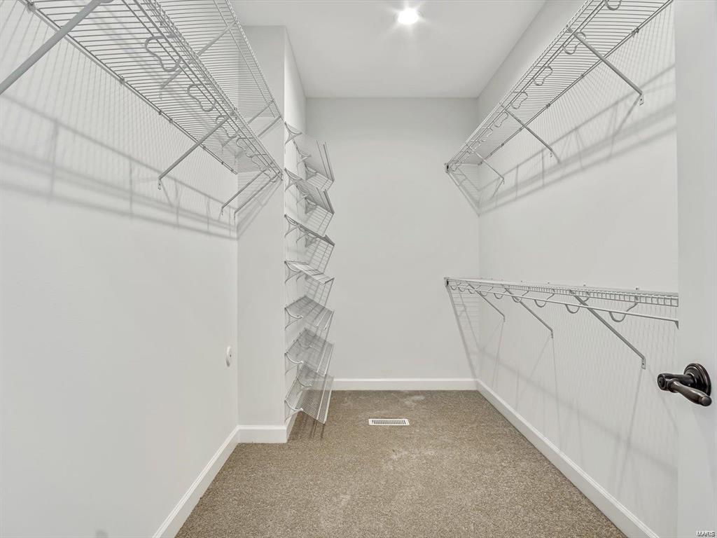 4132 Tbb Summer Oak Road Smithton, IL 62285 - Photo 25 of 31