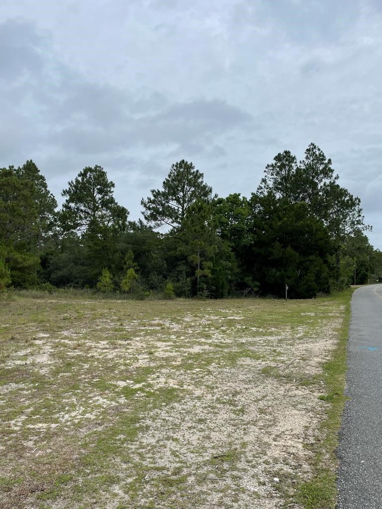 2079 Lighthouse Road Carrabelle, FL 32322 - Photo 5 of 7 Gallery Image 5