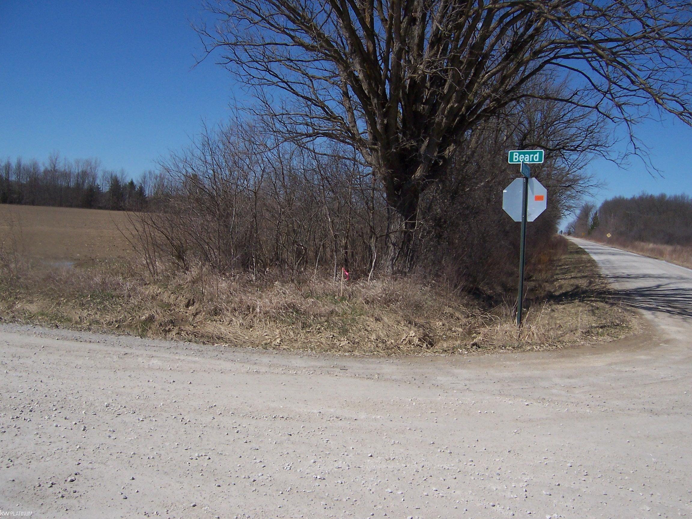 Lot 1 Beard Road Avoca, MI 48006 - Photo 2 of 2