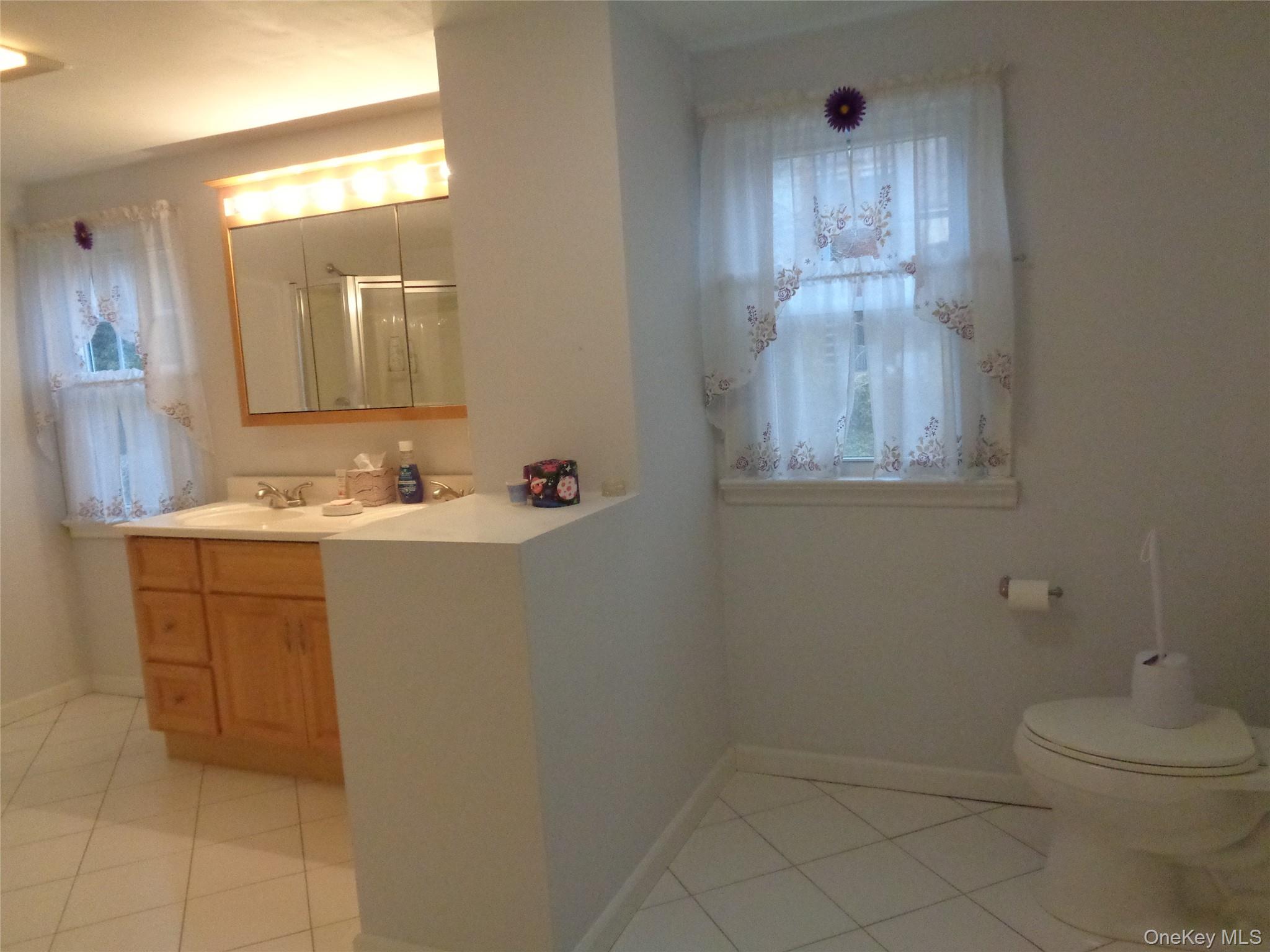 9 Valley Terrace Port Chester, NY 10573 - Photo 16 of 25 a bathroom with a sink vanity and toilet