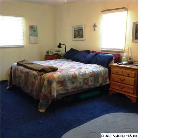 8375 Zuber Road Springville, AL 35146 - Photo 10 of 22