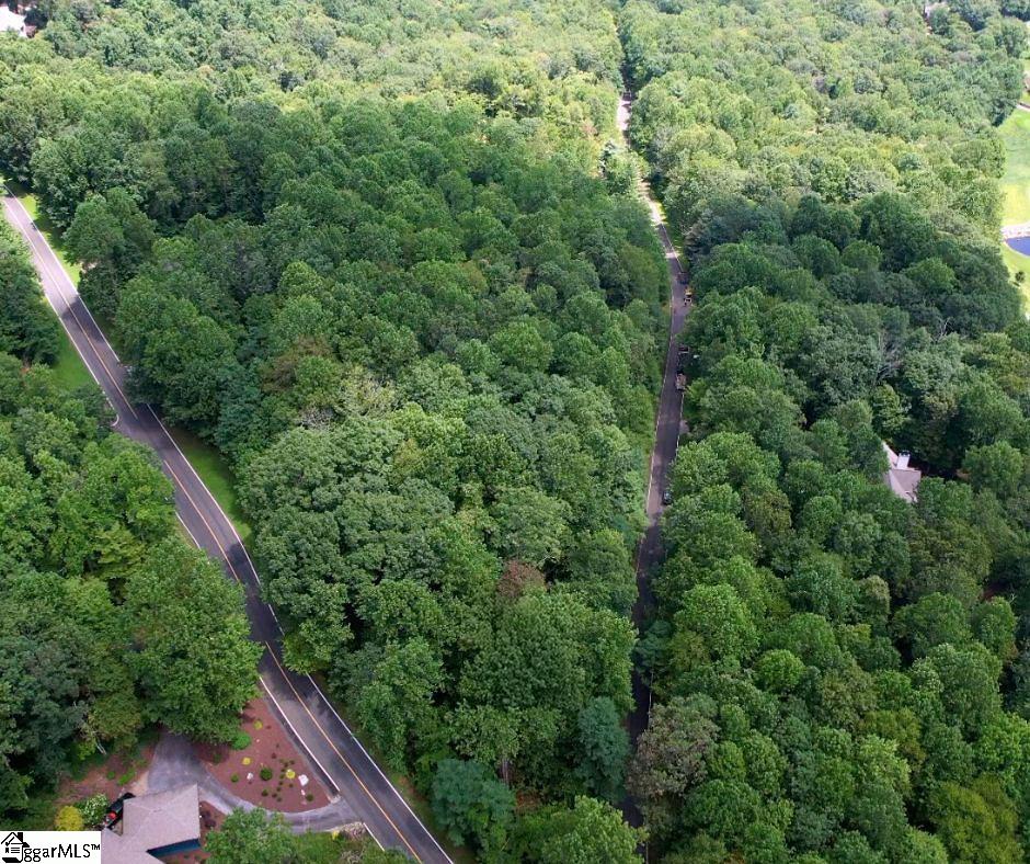 Snap Dragon Way Landrum, SC 29356 - Photo 2 of 6