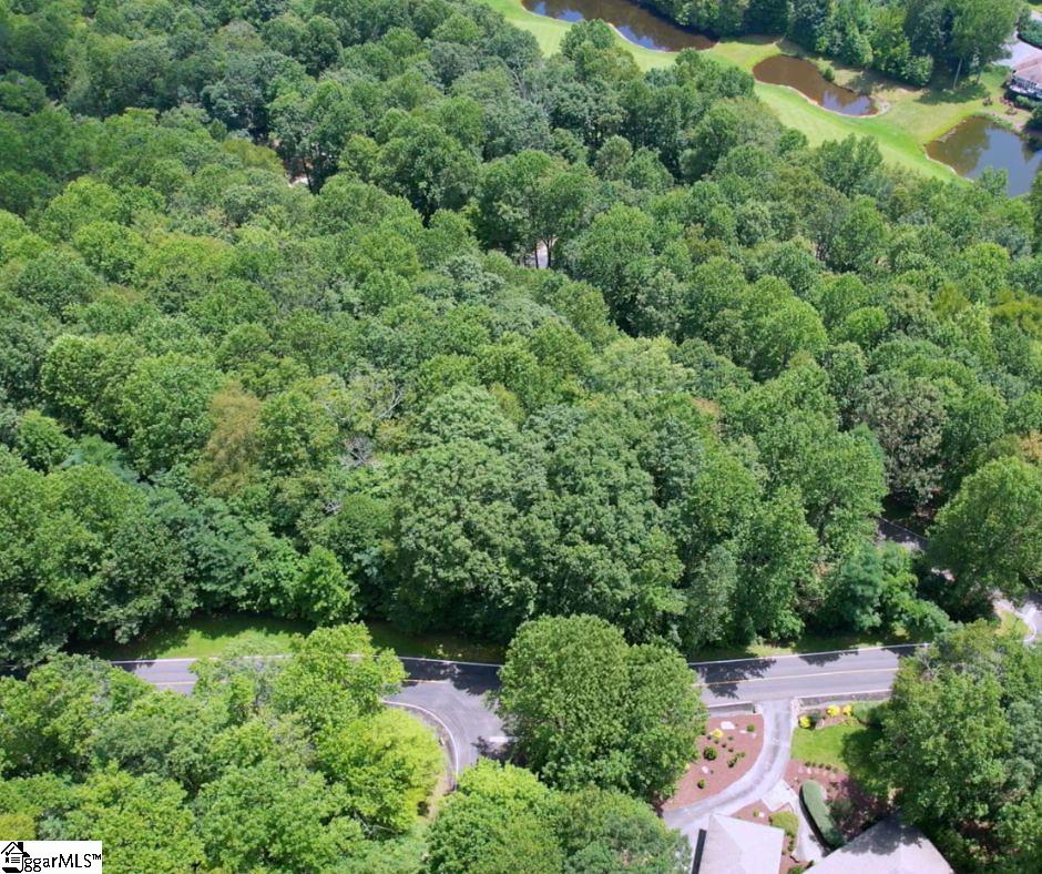 Snap Dragon Way Landrum, SC 29356 - Photo 3 of 6