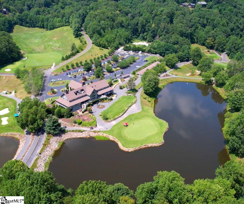 Snap Dragon Way Landrum, SC 29356 - Photo 5 of 6