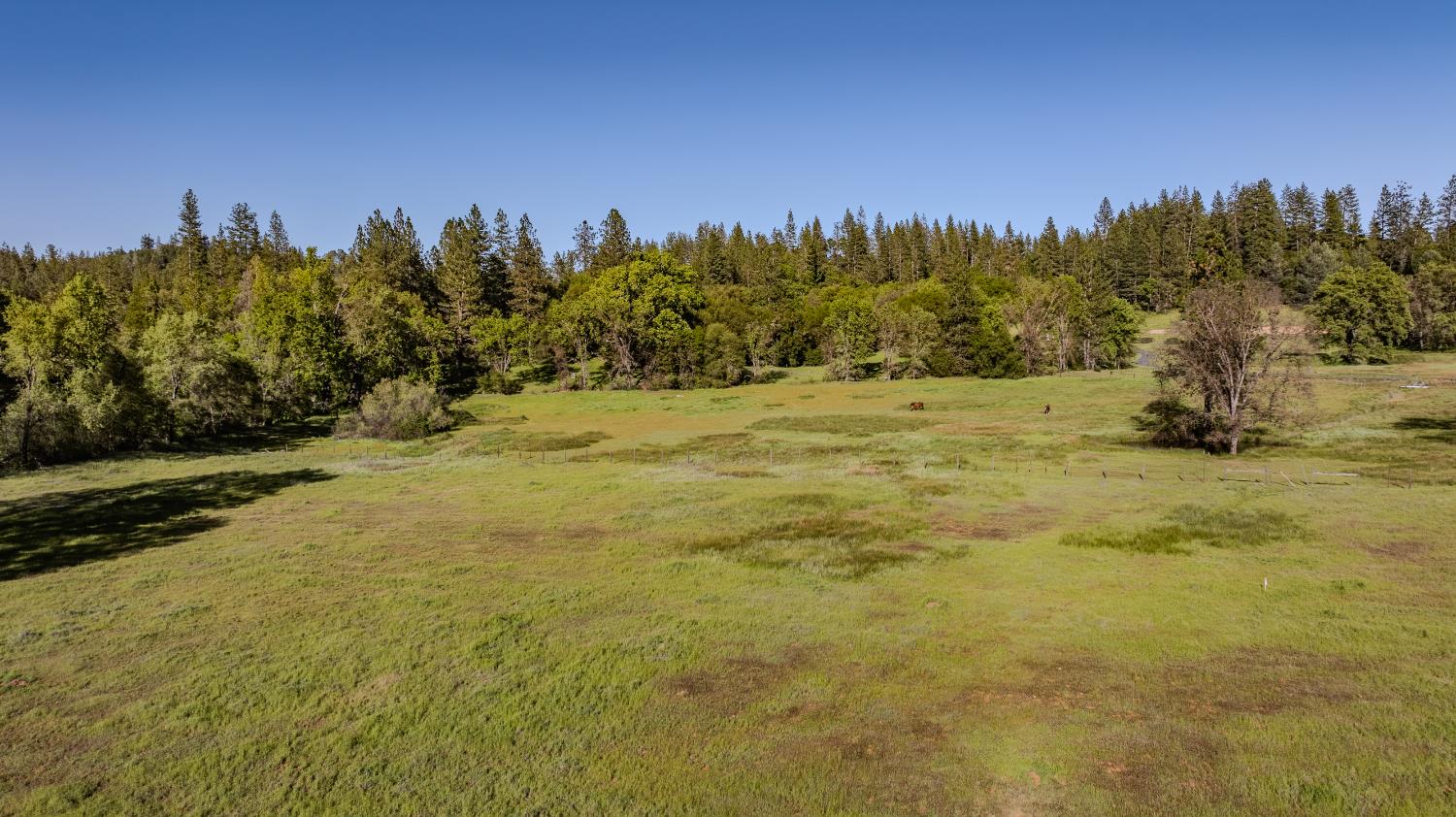 22930 Meadow View Road Fiddletown, CA 95629 - Photo 13 of 86