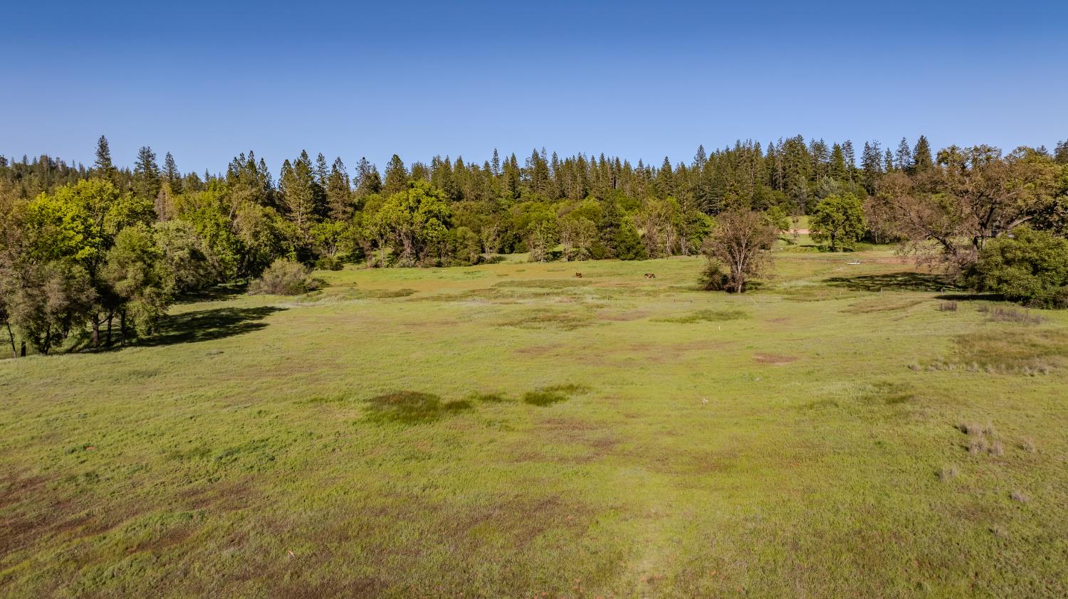 22930 Meadow View Road Fiddletown, CA 95629 - Photo 16 of 86