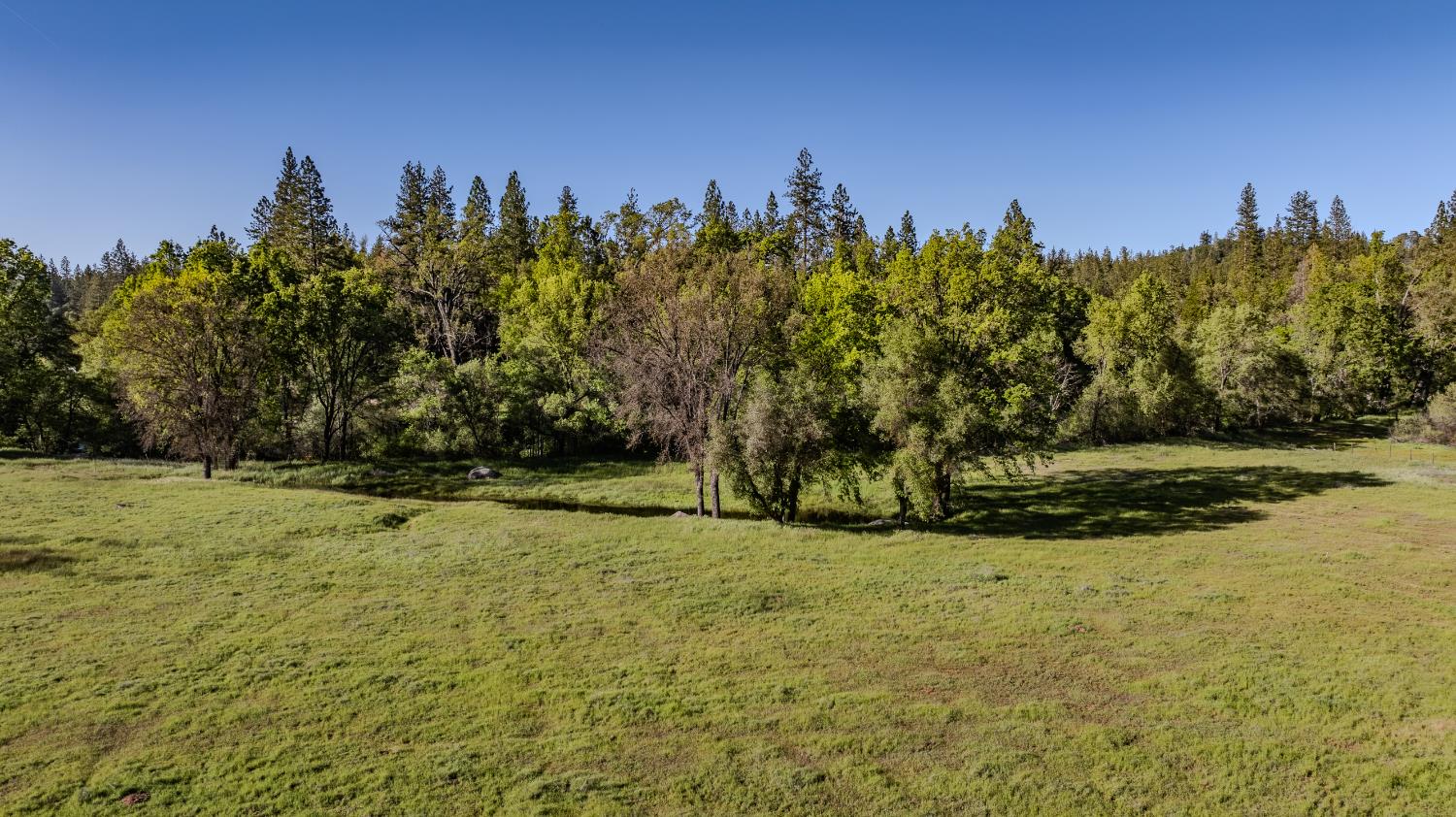 22930 Meadow View Road Fiddletown, CA 95629 - Photo 21 of 95