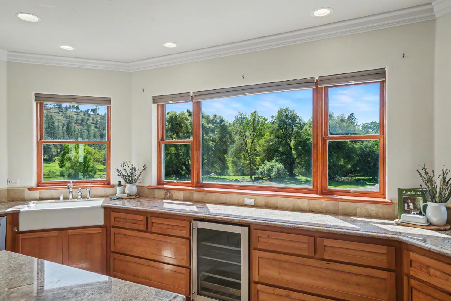 22930 Meadow View Road Fiddletown, CA 95629 - Photo 28 of 86