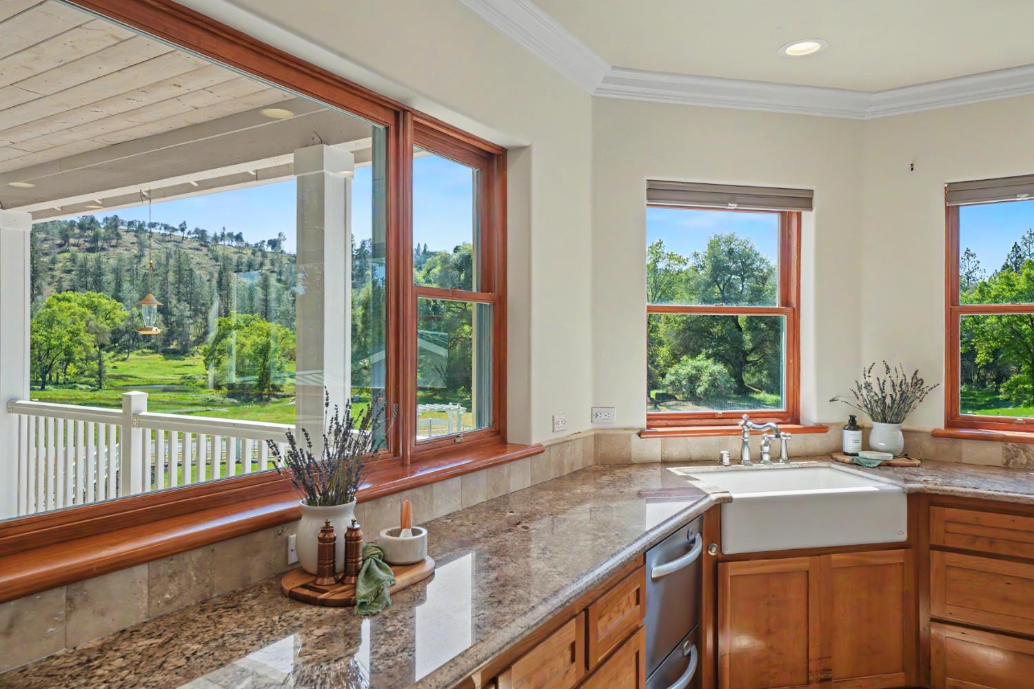 22930 Meadow View Road Fiddletown, CA 95629 - Photo 33 of 95