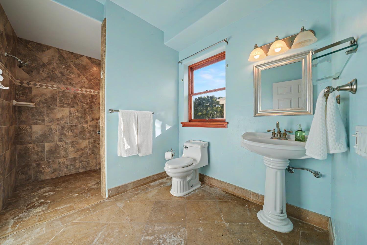 22930 Meadow View Road Fiddletown, CA 95629 - Photo 64 of 95 a bathroom with a sink toilet and a mirror