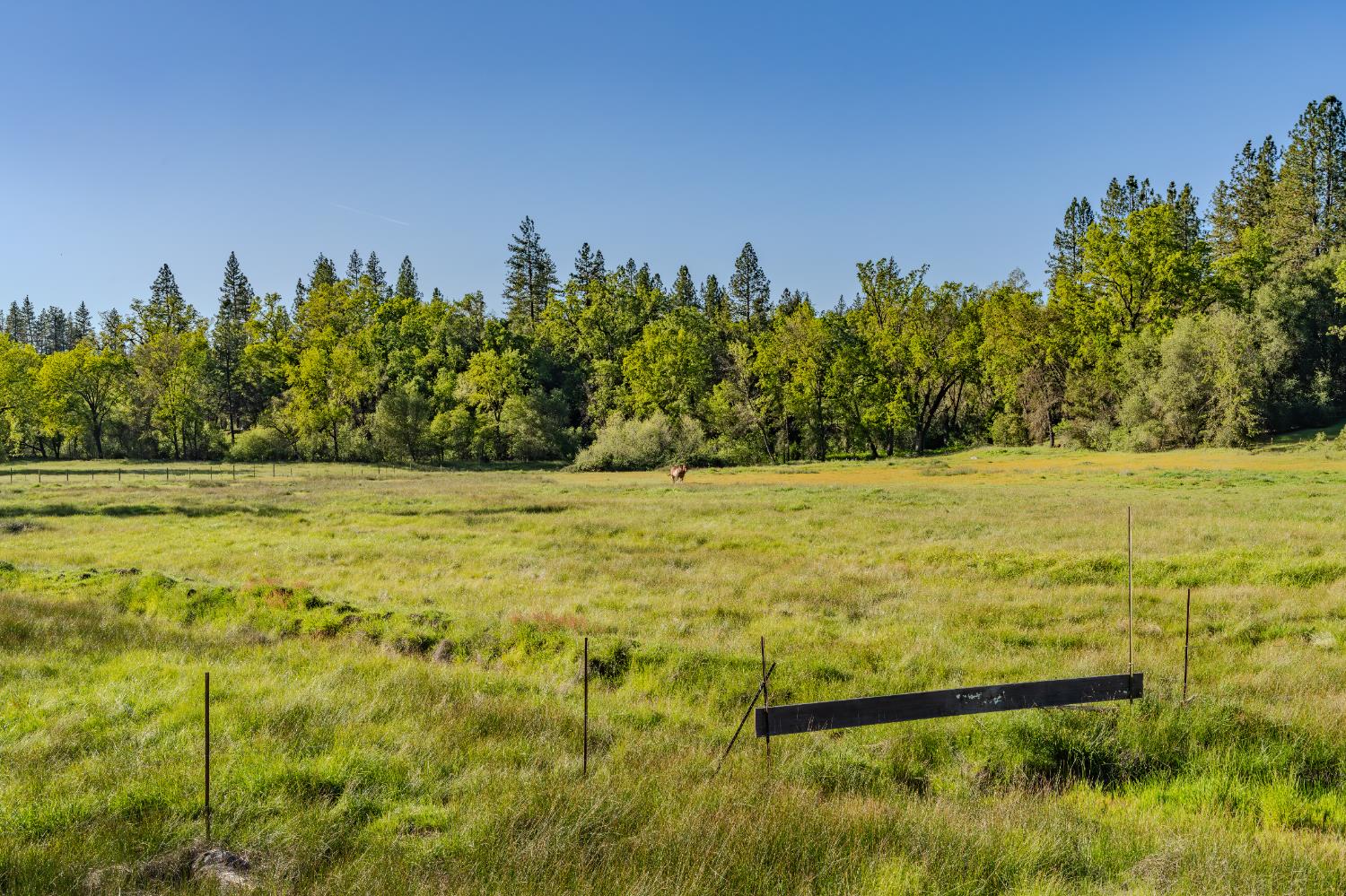 22930 Meadow View Road Fiddletown, CA 95629 - Photo 74 of 95