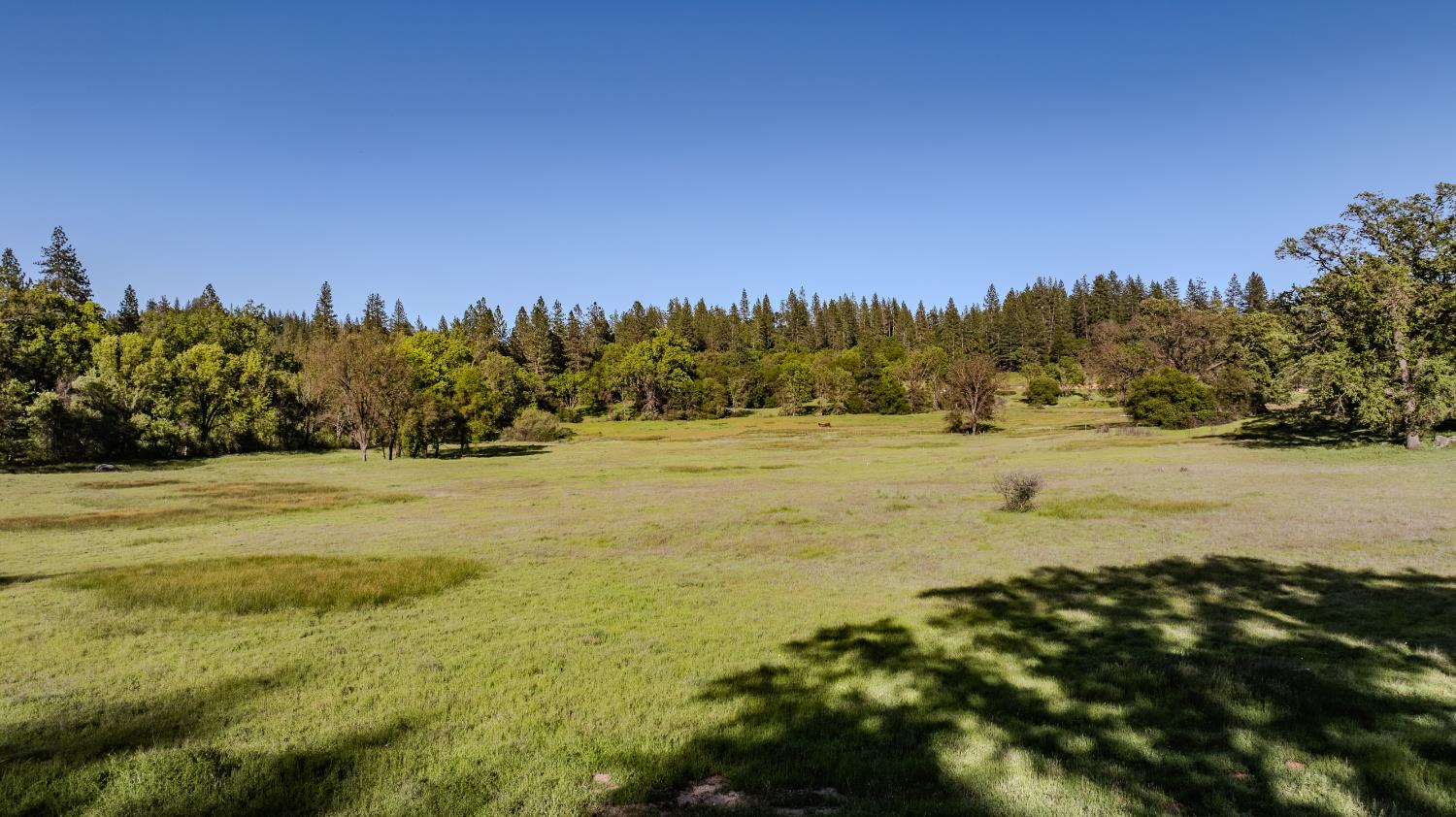 22930 Meadow View Road Fiddletown, CA 95629 - Photo 76 of 95