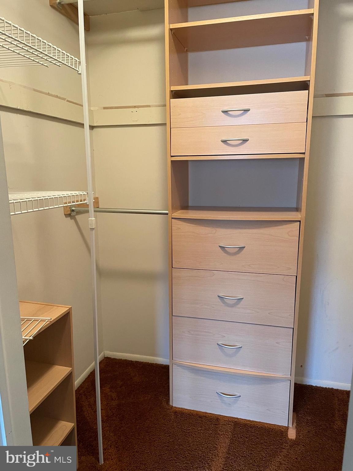 19 Farnwood Road Mount Laurel, NJ 08054 - Photo 17 of 20 2nd bedroom walk in closet