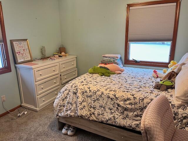 5918 Potter Road Bear Lake, MI 49614 - Photo 27 of 55 IMG_8592