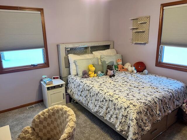 5918 Potter Road Bear Lake, MI 49614 - Photo 29 of 55 IMG_8590